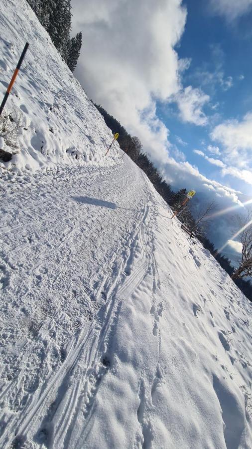 Gasthof Wimbachklamm راماسو المظهر الخارجي الصورة
